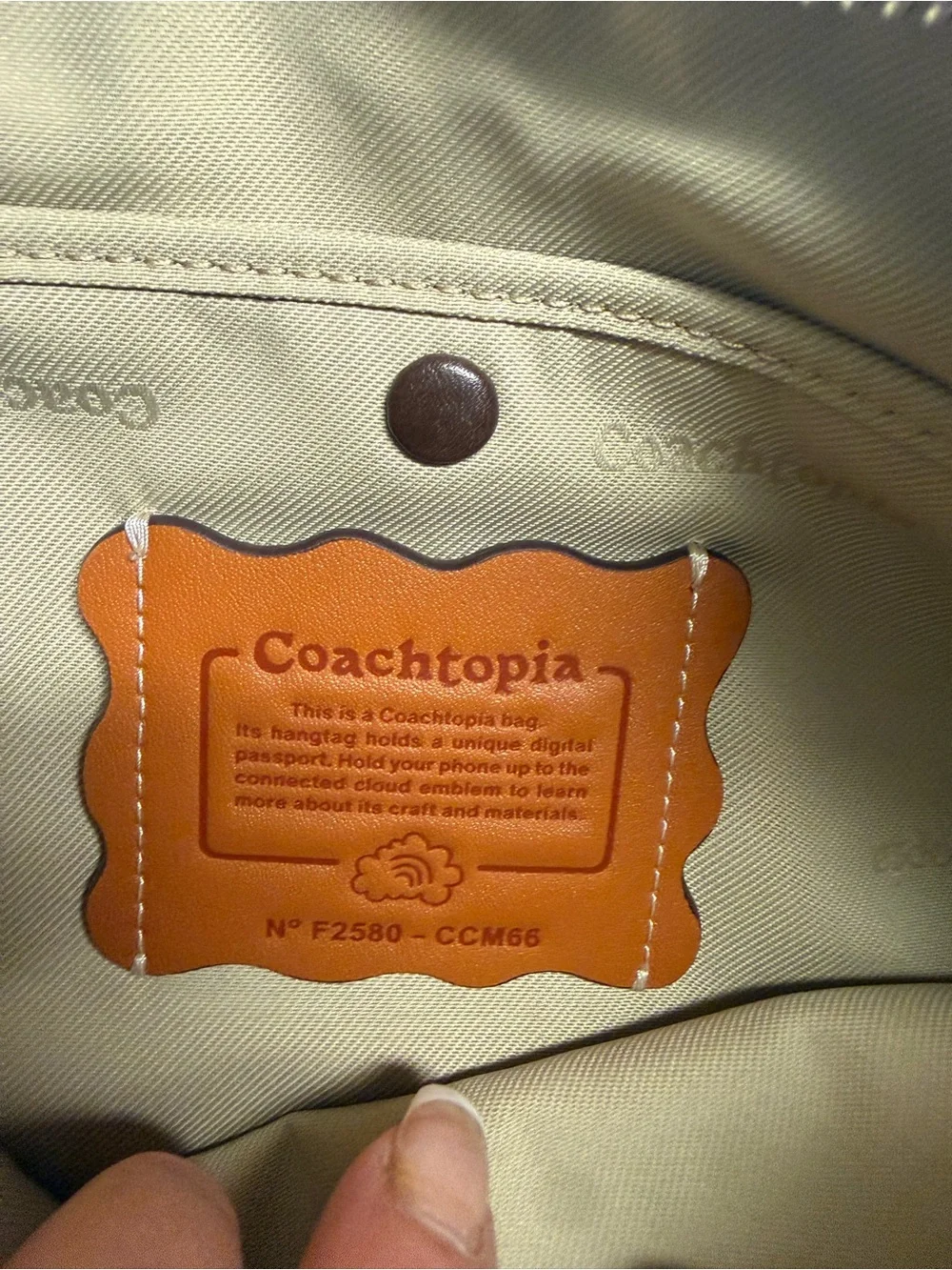 Coach Coachtopia Alter/Ego Large Crescent Shoulder Bag CCM66 Dark Stone Leather